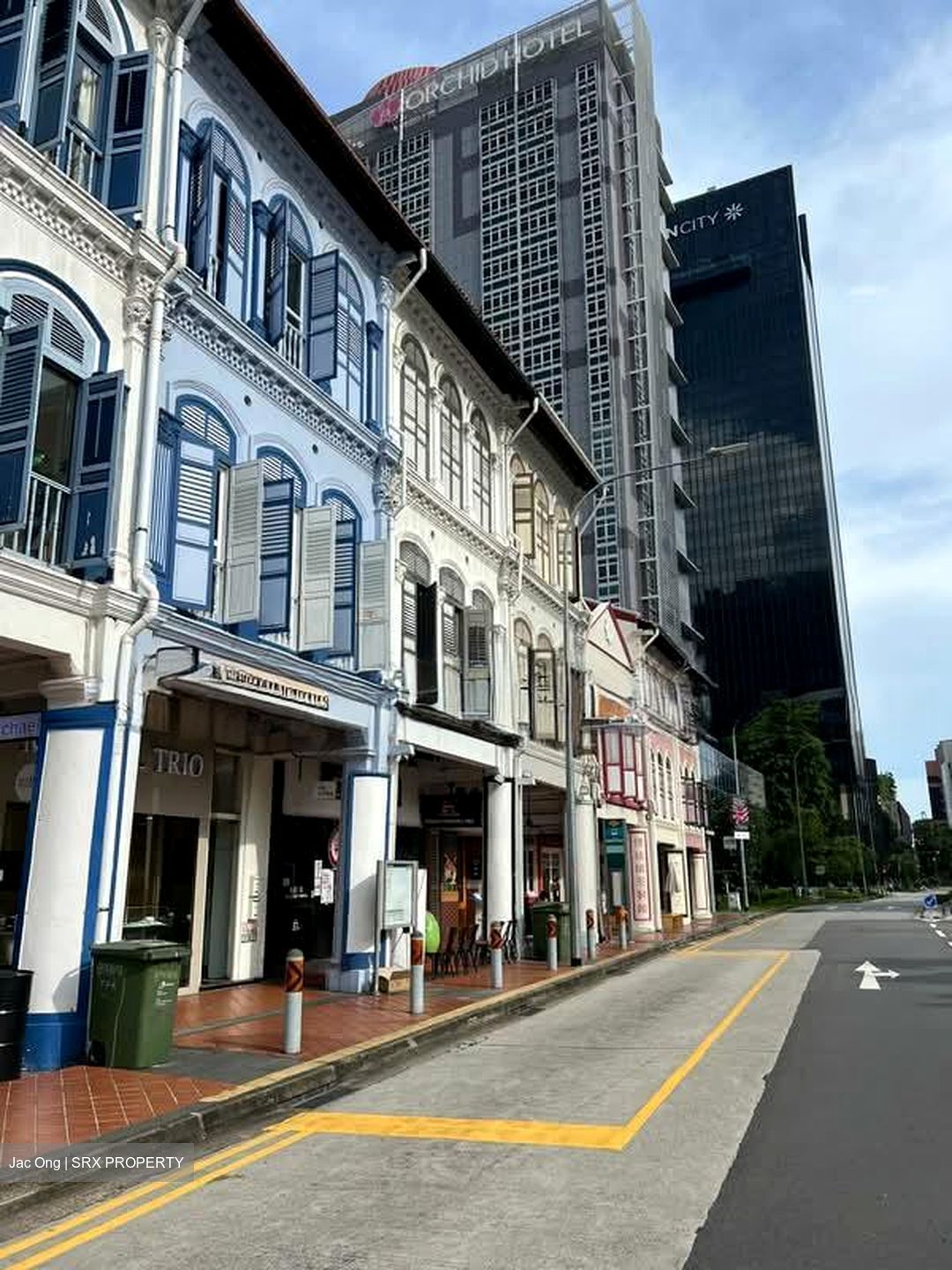 Tanjong Pagar Conservation Area (D2), Shop House #603309841